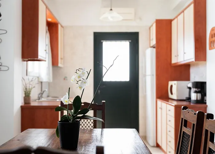 To Pelagos 别墅 艾西奥斯索蒂斯